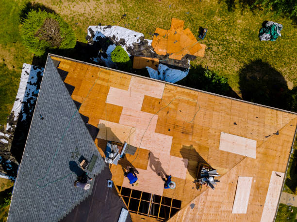 Best New Roof Installation  in USA